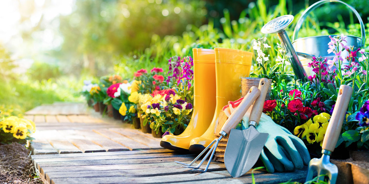 gardening