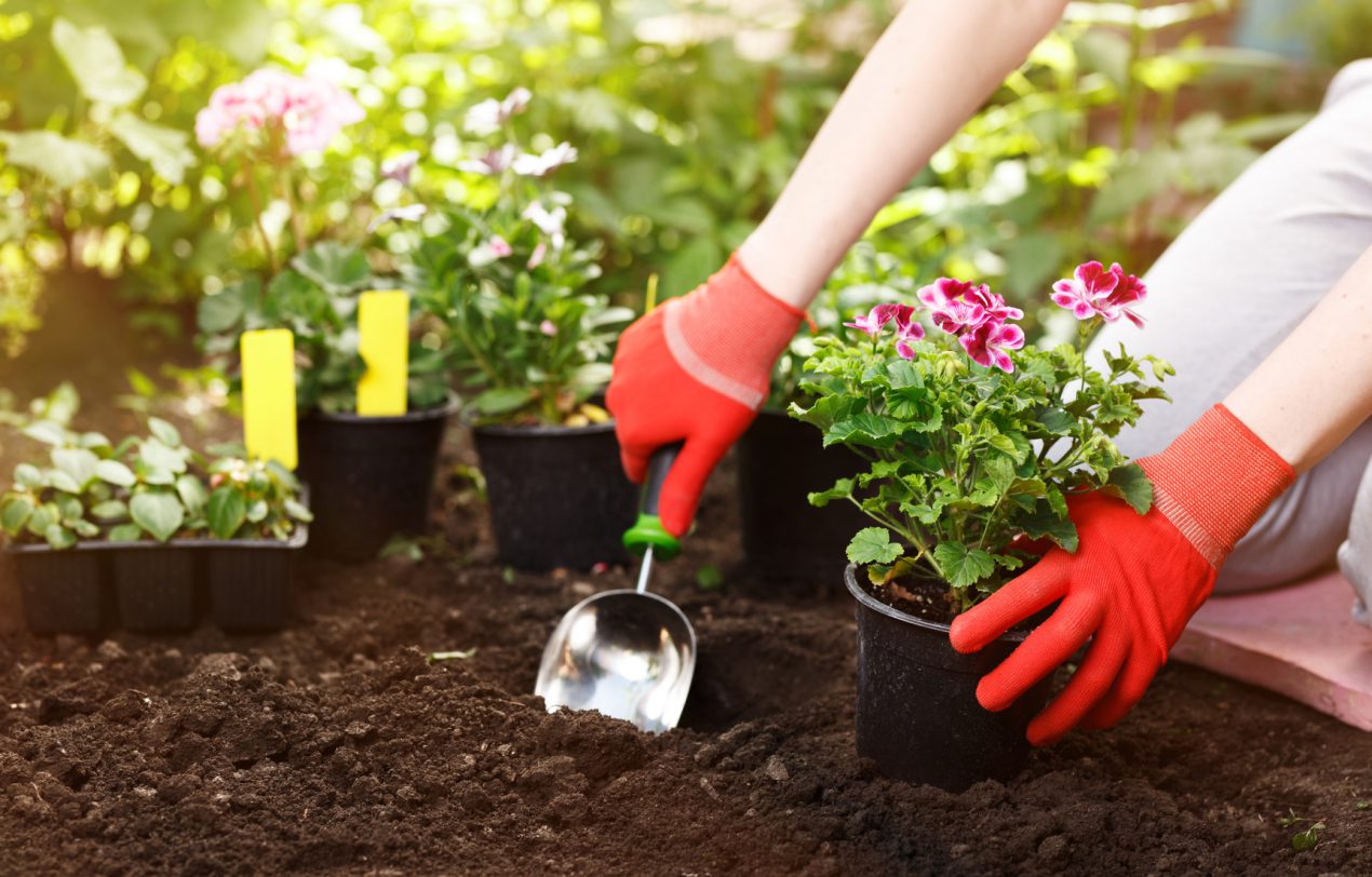 Jardinage